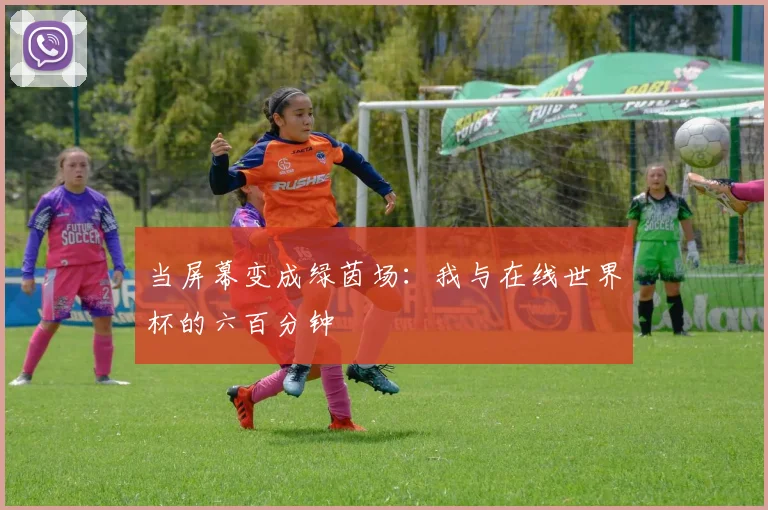 当屏幕变成绿茵场：我与在线世界杯的六百分钟