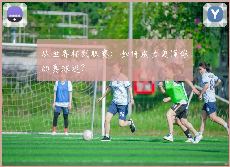 从世界杯到联赛:如何成为更懂球的真球迷?