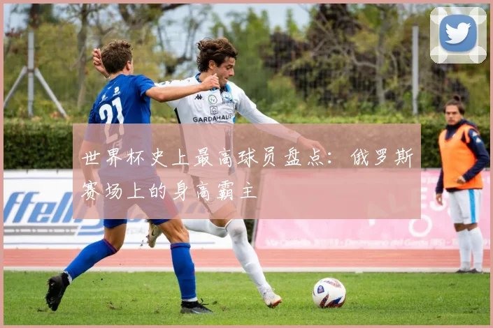 世界杯史上最高球员盘点:俄罗斯赛场上的身高霸主