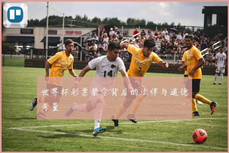世界杯彩票禁令背后的法律与道德考量