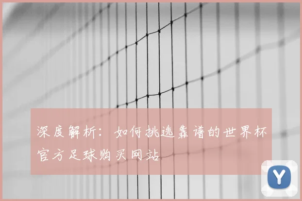 深度解析:如何挑选靠谱的世界杯官方足球购买网站