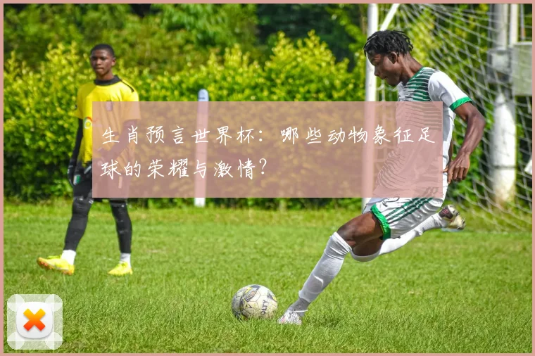 生肖预言世界杯：哪些动物象征足球的荣耀与激情？