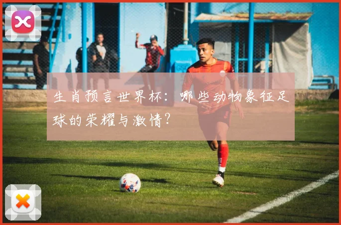 生肖预言世界杯：哪些动物象征足球的荣耀与激情？